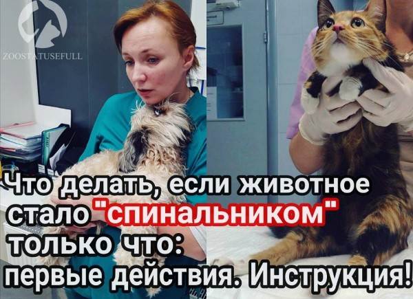 что